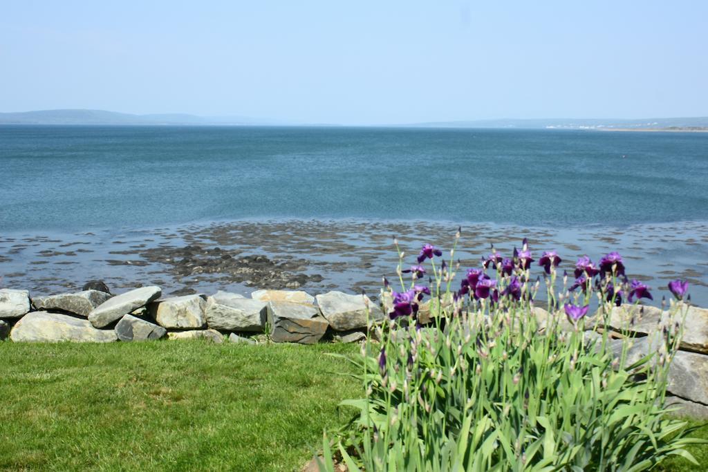 Come From Away B&B Digby Dış mekan fotoğraf